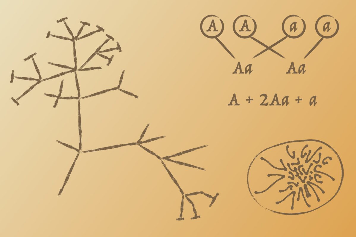 History of Science illustration