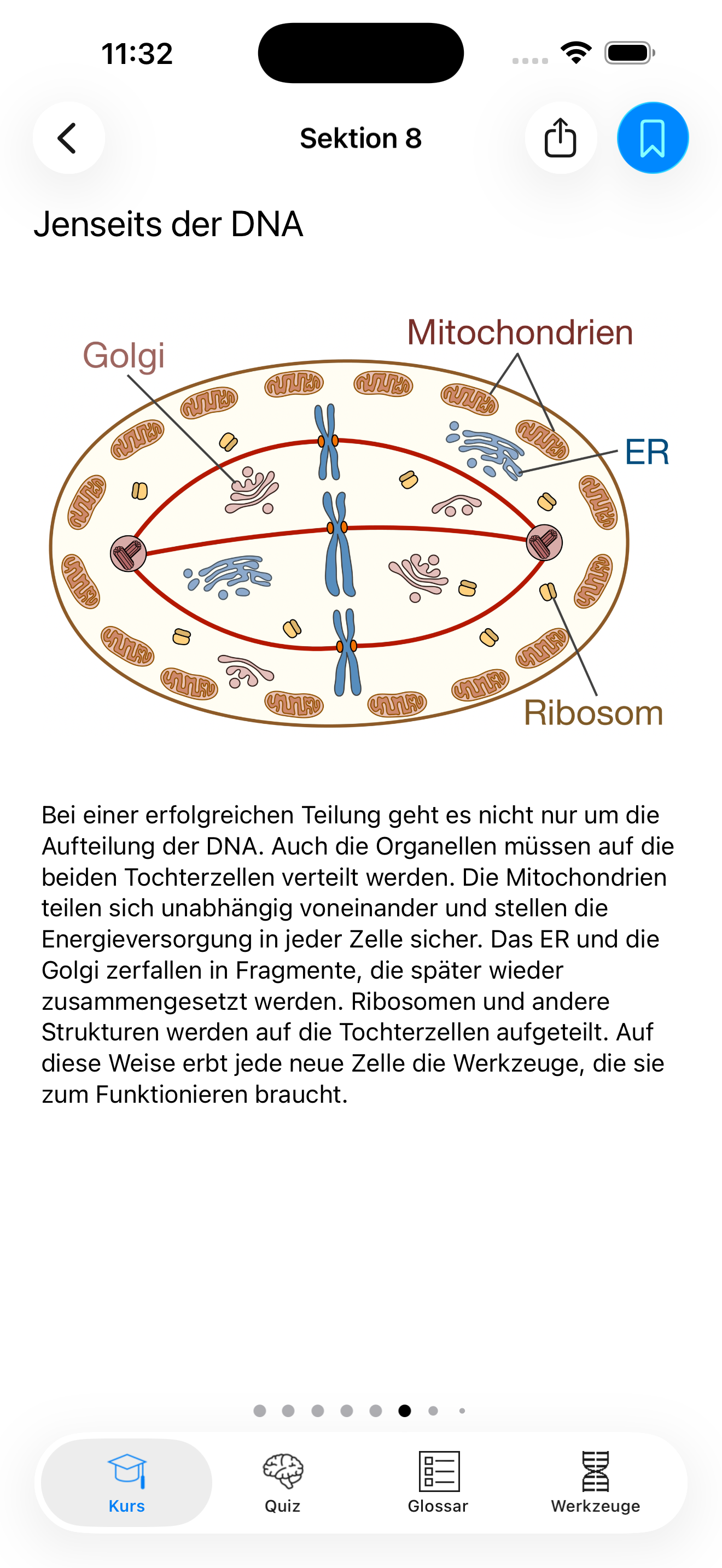 Illustrierte Lektion in Codon One