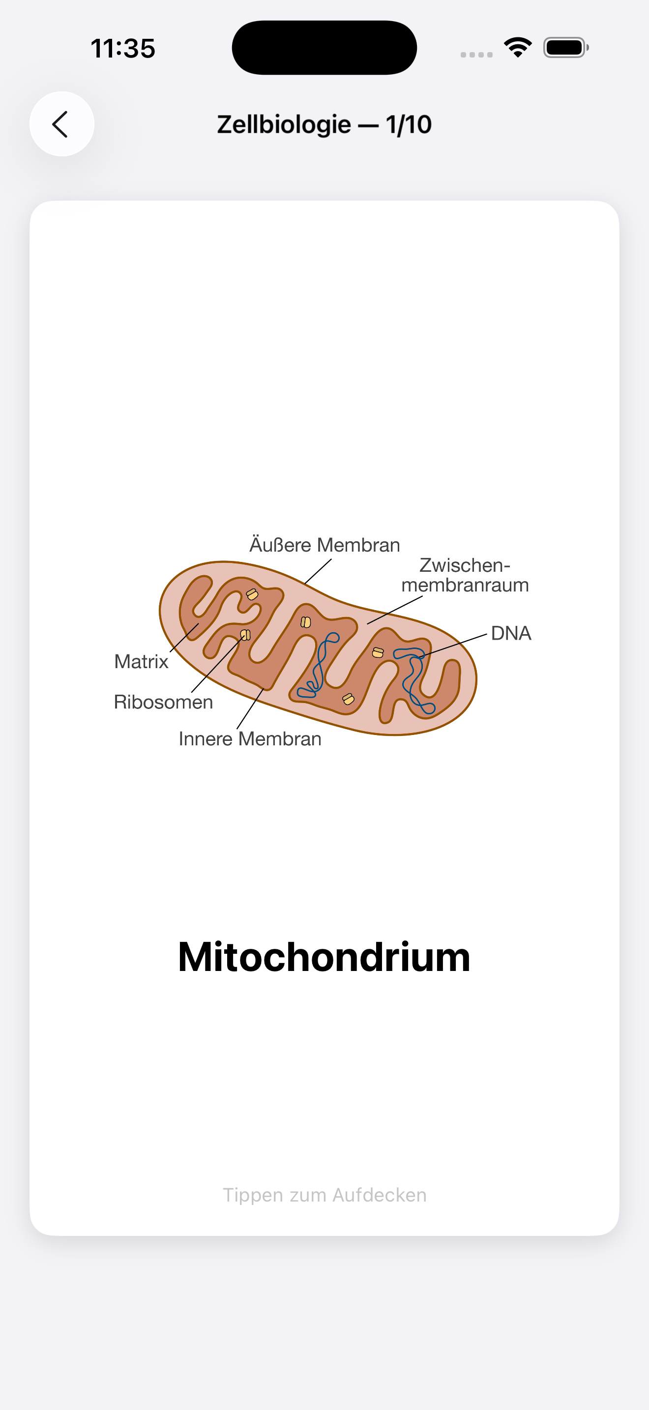 Fortschritt in Codon One